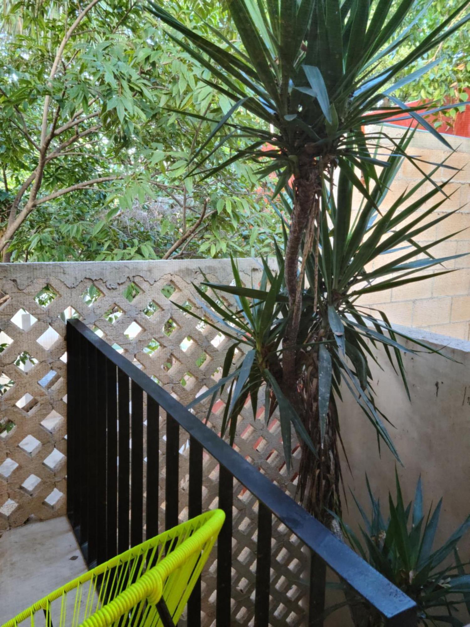 Casa Ramona Ξενοδοχείο Mérida Εξωτερικό φωτογραφία