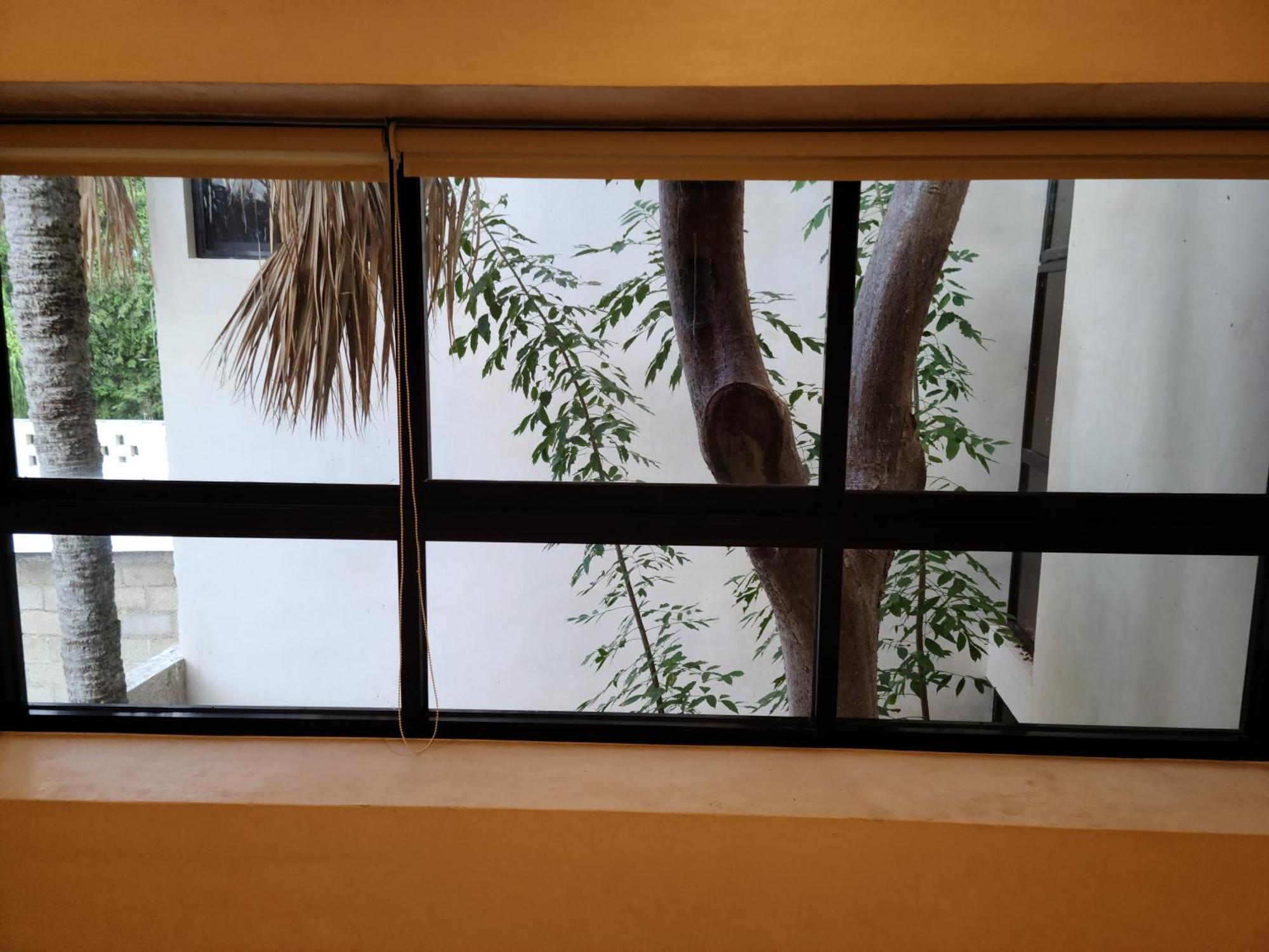 Casa Ramona Ξενοδοχείο Mérida Εξωτερικό φωτογραφία